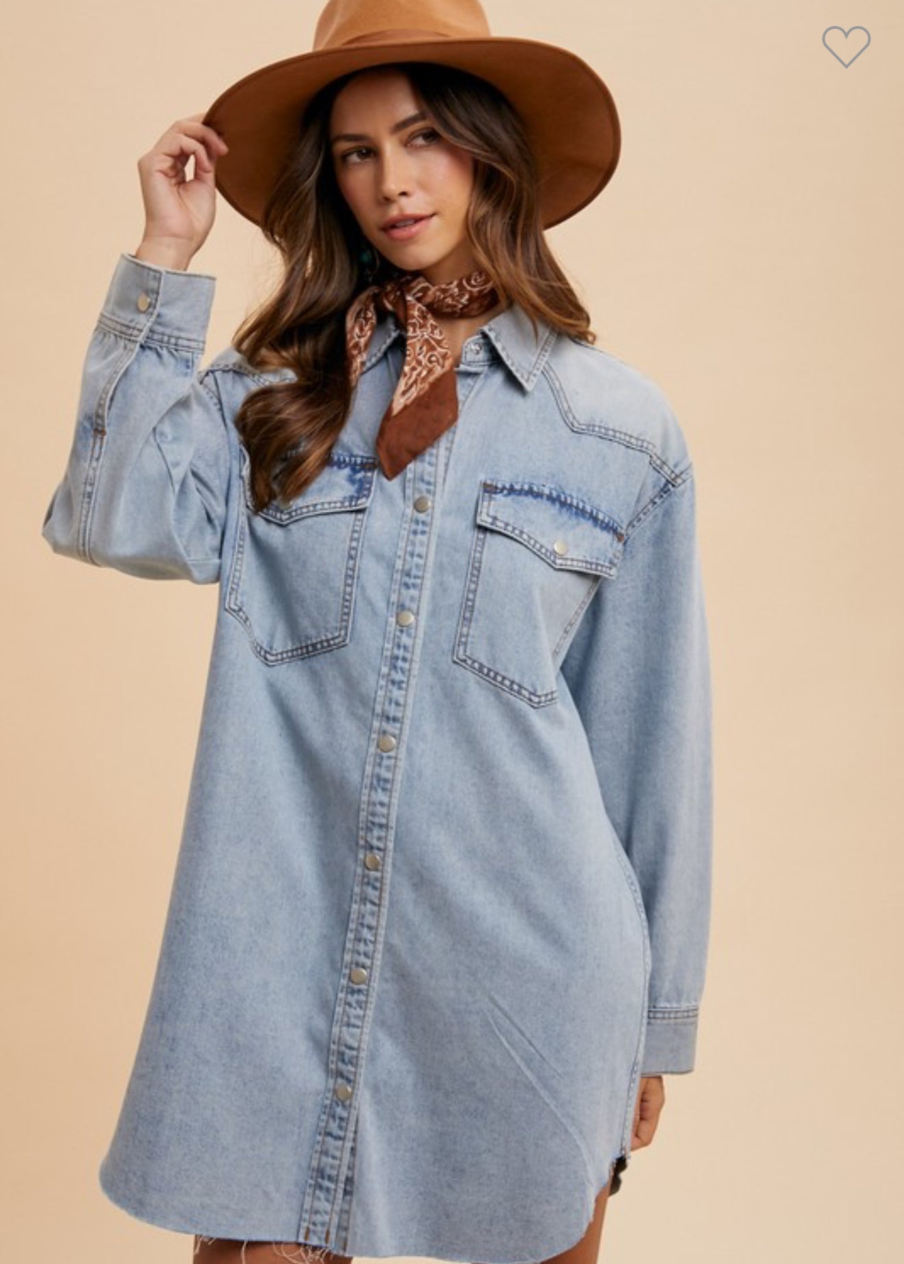 Denim Button Down Dress