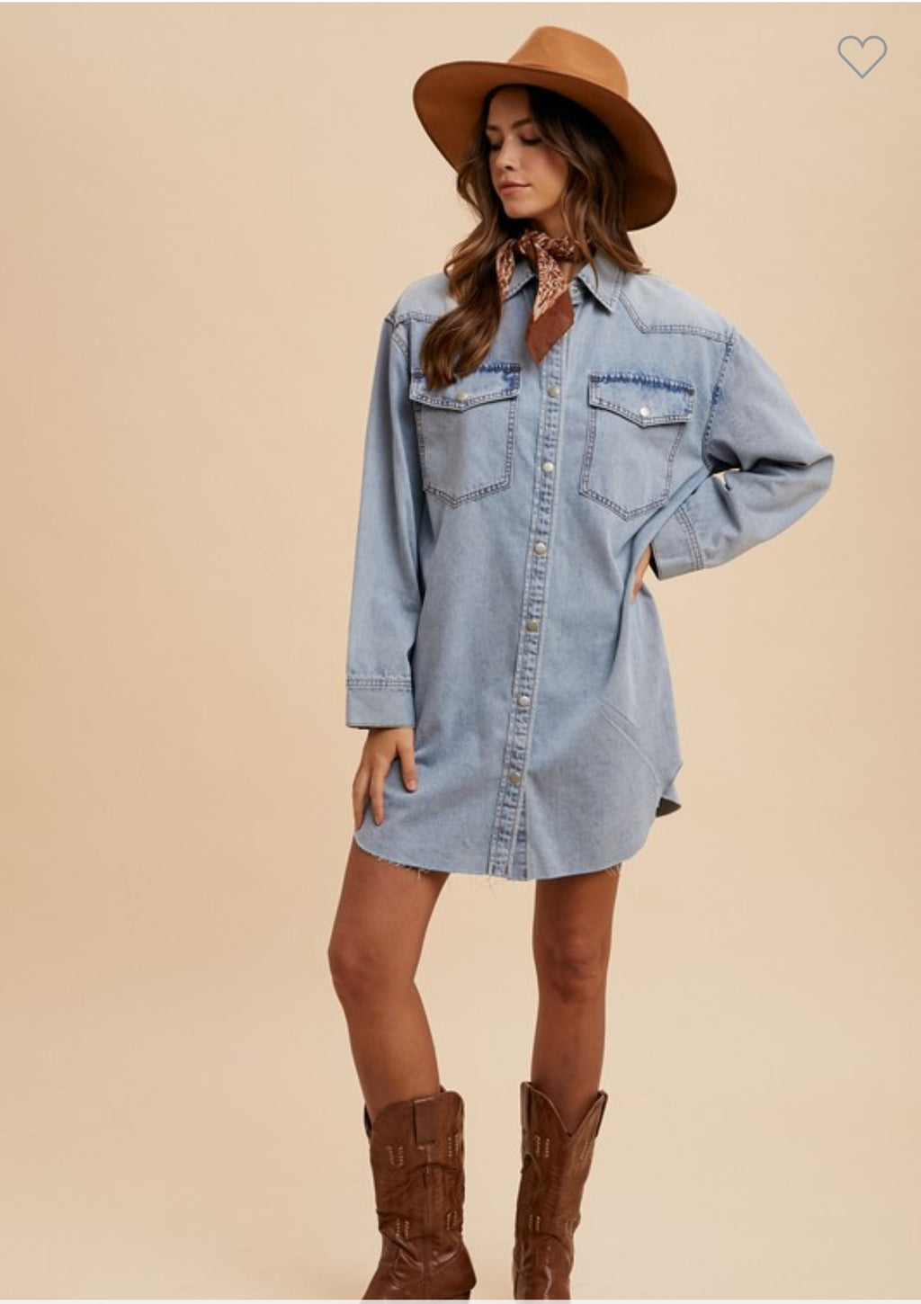 Denim Button Down Dress